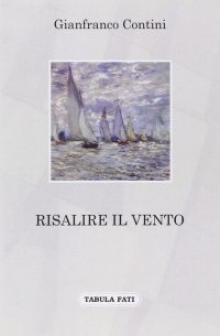 Immagine copertina libro Risalire il vento