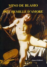 Immagine copertina libro Piùchemille d'amore