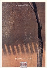 Immagine copertina libro Fulvio Rinaldi