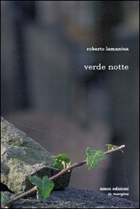 Immagine copertina libro Verde notte