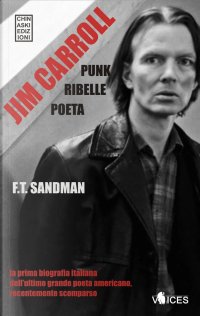 Immagine copertina libro Jim Carroll. Poeta, punk, ribelle