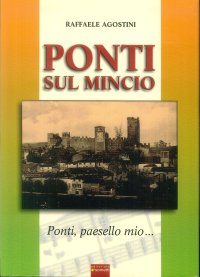 Immagine copertina libro Ponti sul Mincio