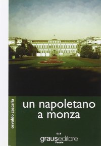 Immagine copertina libro Un napoletano a Monza