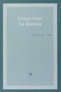 Immagine copertina libro La distanza