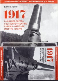 Immagine copertina libro 1917: la grande guerra sul fronte vicentino. Pasubio, Ortigara, Melette, Grappa. Con videocassetta