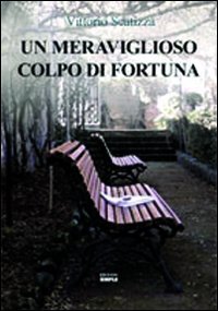 Immagine copertina libro Un meraviglioso colpo di fortuna