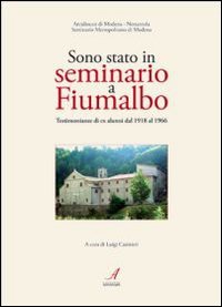 Immagine copertina libro Sono stato in seminario a Fiumalbo
