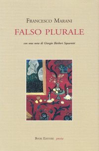 Immagine copertina libro Falso plurale