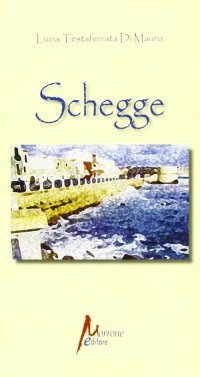 Immagine copertina libro Schegge