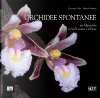 Immagine copertina libro Orchidee spontanee tra Marcarolo la Val Lemme e il Piota. Ediz. illustrata