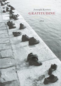 Immagine copertina libro Gratitudine