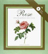 Immagine copertina libro Rose. Ediz. illustrata