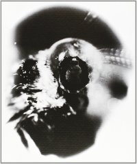 Immagine copertina libro Ferrario frères 109 gradi 28 primi