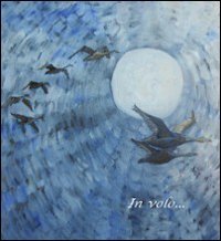 Immagine copertina libro In volo