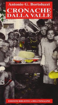 Immagine copertina libro Cronache della valle