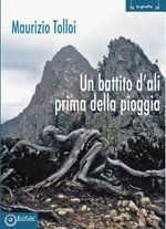 Immagine copertina libro Un battito d'ali prima della pioggia