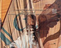 Immagine copertina libro Aspettando il presepe sulle barche