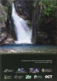 Immagine copertina libro Alla scoperta dei canyon bergamaschi. Dalla Via Mala alla Forra Leonardesca, un viaggio tra le più belle gole, gli orridi e le marmitte dei giganti delle Orobie. Ediz. illustrata