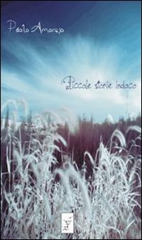 Immagine copertina libro Piccole storie indaco