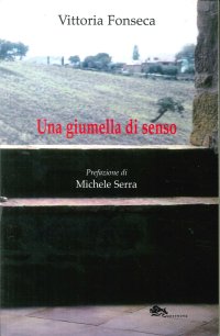 Immagine copertina libro Una giumella di senso