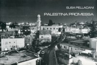 Immagine copertina libro Palestina promessa