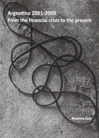 Immagine copertina libro Argentina 2001-2009. From the financial crisis to the present
