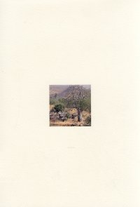 Immagine copertina libro Taneka Beri. Premio internazionale Carlo Scarpa per il giardino