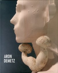 Immagine copertina libro Aron Demetz. Ediz. multilingue