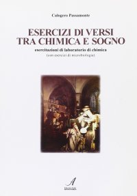 Immagine copertina libro Esercizi di versi tra chimica e sogno