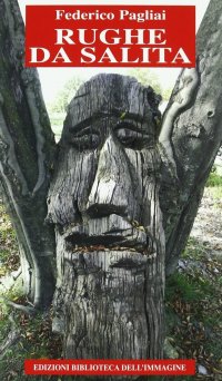 Immagine copertina libro Rughe da salita