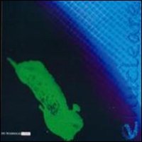 Immagine copertina libro Enucleare. Ediz. illustrata