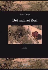 Immagine copertina libro Dei malnati fiori