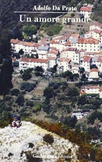 Immagine copertina libro Un amore grande