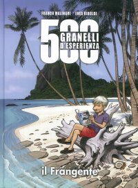 Immagine copertina libro 500 granelli d'esperienza