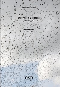 Immagine copertina libro Derive e approdi