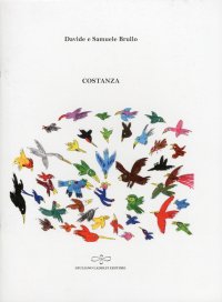Immagine copertina libro Costanza