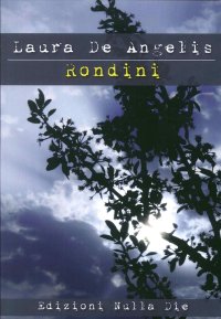 Immagine copertina libro Rondini