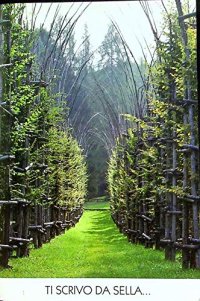 Immagine copertina libro Ti scrivo da Sella