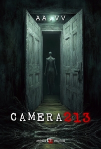 Immagine copertina libro Camera 213