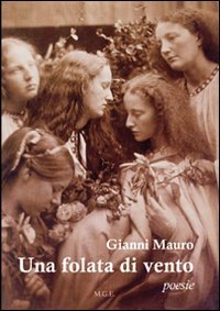 Immagine copertina libro Una folata di vento
