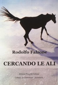 Immagine copertina libro Cercando le ali