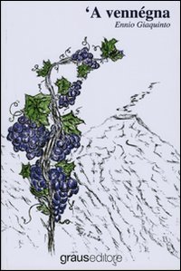 Immagine copertina libro Vennègna ('A)