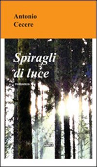 Immagine copertina libro Spiragli di luce