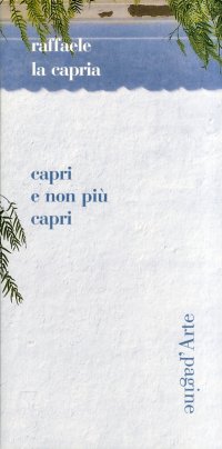 Immagine copertina libro Capri non più Capri