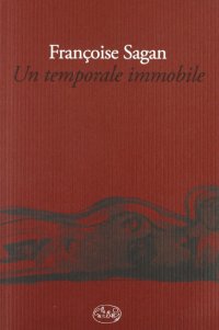 Immagine copertina libro Un temporale immobile