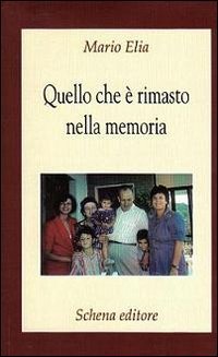 Immagine copertina libro Quello che è rimasto nella memoria