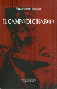 Immagine copertina libro Il campo di cinabro