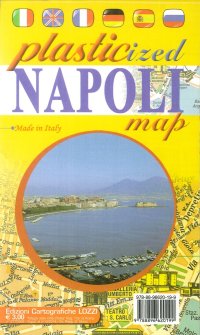 Immagine copertina libro Napoli