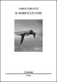 Immagine copertina libro Il mare e le cose