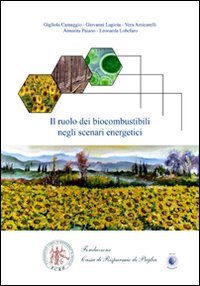 Immagine copertina libro Il ruolo dei biocombustibili negli scenari energetici